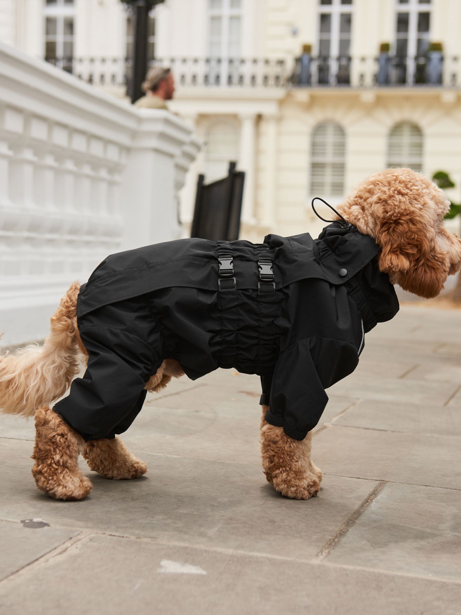 Buy Black 4 Leg Waterproof Dog Coat from Next Luxembourg