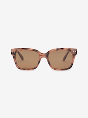 Tortoiseshell Brown Preppy Style Polarised Sunglasses - Image 4 of 5