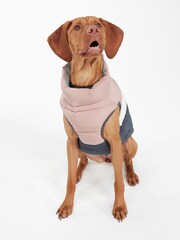 Tog 24 Pink Pooch Panel Padded Dog Jacket - Image 3 of 5