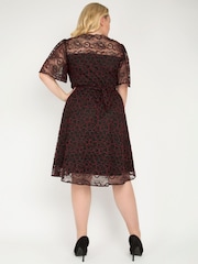 Jolie Moi Red Flare Sleeved Lace Midi Dress - Image 2 of 5