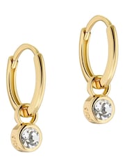 גוון זהוב - Ted Baker עגילי חבק בשיבוץ קריסטל, דגם Sinalaa - תמונה 1 מתוך 9