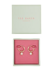 גוון זהוב - Ted Baker עגילי חבק בשיבוץ קריסטל, דגם Sinalaa - תמונה 7 מתוך 9