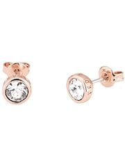 Ted Baker Rose Gold SINAA: Crystal Stud Earrings - Image 3 of 8