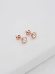 Ted Baker Rose Gold SINAA: Crystal Stud Earrings - Image 7 of 8