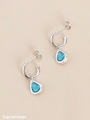 Sterling Silver Birthstone Hoop Earrings - Image 12 of 13