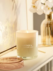 White Collection Luxe Antigua Mango and Papaya Single Wick Scented Candle - Image 1 of 4