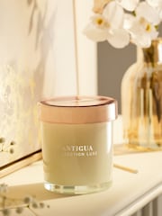 White Collection Luxe Antigua Mango and Papaya Single Wick Scented Candle - Image 2 of 4