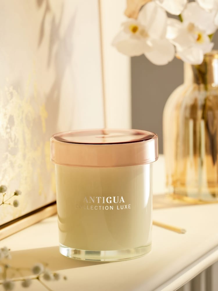 White Collection Luxe Antigua Mango and Papaya Single Wick Scented Candle - Image 2 of 4