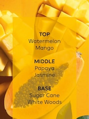 White Collection Luxe Antigua Mango and Papaya Single Wick Scented Candle - Image 4 of 4
