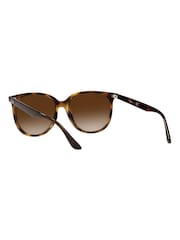 Ray-Ban Brown Sunglasses - Image 10 of 14