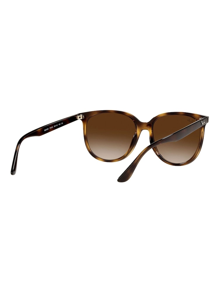 Ray-Ban Brown Sunglasses - Image 11 of 14