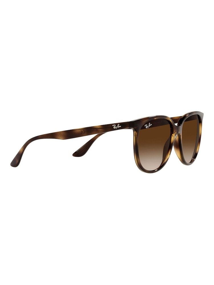 Ray-Ban Brown Sunglasses - Image 13 of 14
