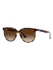 Ray-Ban Brown Sunglasses - Image 5 of 14