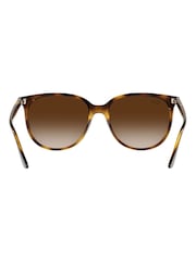 Ray-Ban Brown Sunglasses - Image 6 of 14