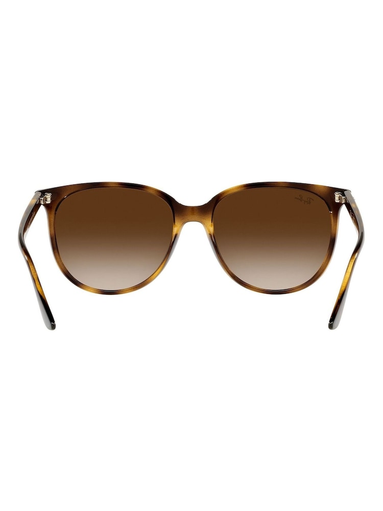 Ray-Ban Brown Sunglasses - Image 6 of 14