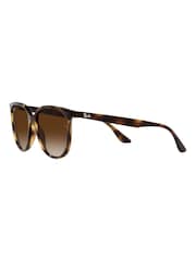 Ray-Ban Brown Sunglasses - Image 7 of 14