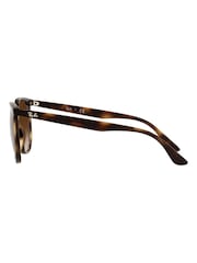 Ray-Ban Brown Sunglasses - Image 8 of 14
