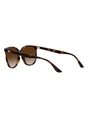 Ray-Ban Brown Sunglasses - Image 9 of 14