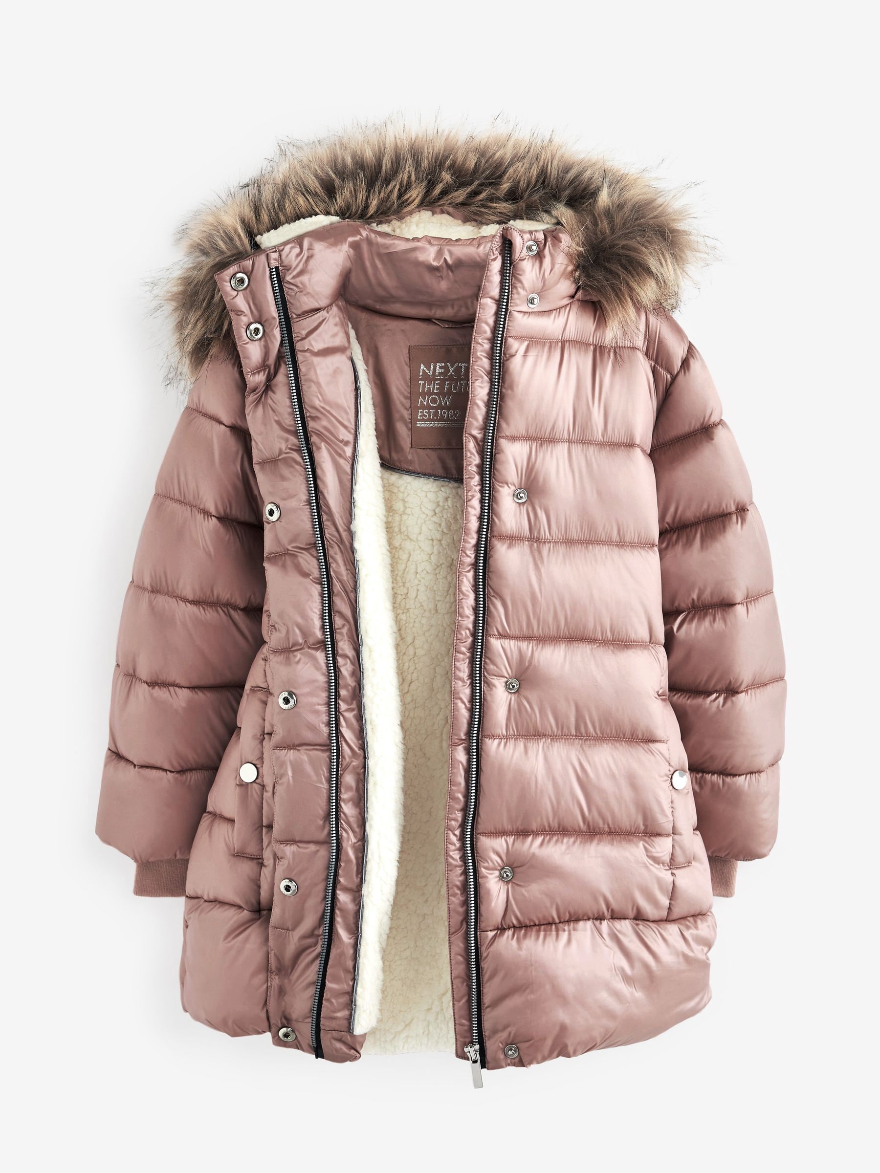 Next toffee coat cheap