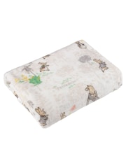 Peter Rabbit™ Natural Teddy Classic Fleece Throw - Image 1 of 3