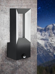 Eglo Grey Riforano Black Exterior Outdoor Wall Light with Sensor - Image 1 of 3