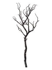 Gallery Home Set of 2 Black Hazel Sparkly Branch - Image 3 of 3