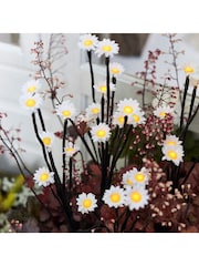 Lights4fun 30 LED Daisy Solar Garden Stake Lights - Image 1 of 1
