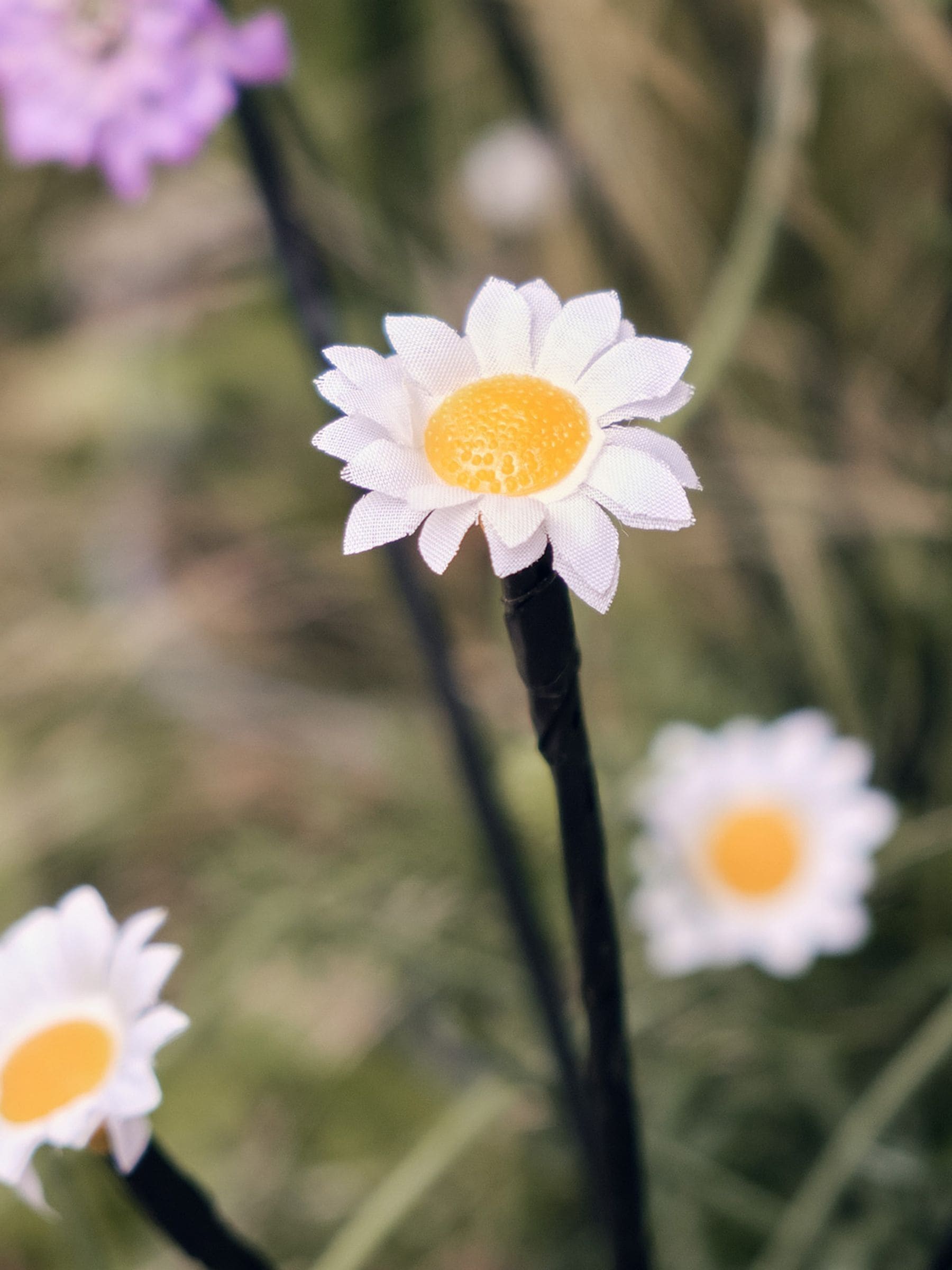 Buy Lights4fun 30 LED Daisy Solar Garden Stake Lights from the