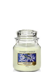Yankee Candle Original Medium Jar Scented Candle, Midnight Jasmine - Image 2 of 3