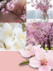 Yankee Candle Original Medium Jar Scented Candle, Cherry Blossom - Image 4 of 4