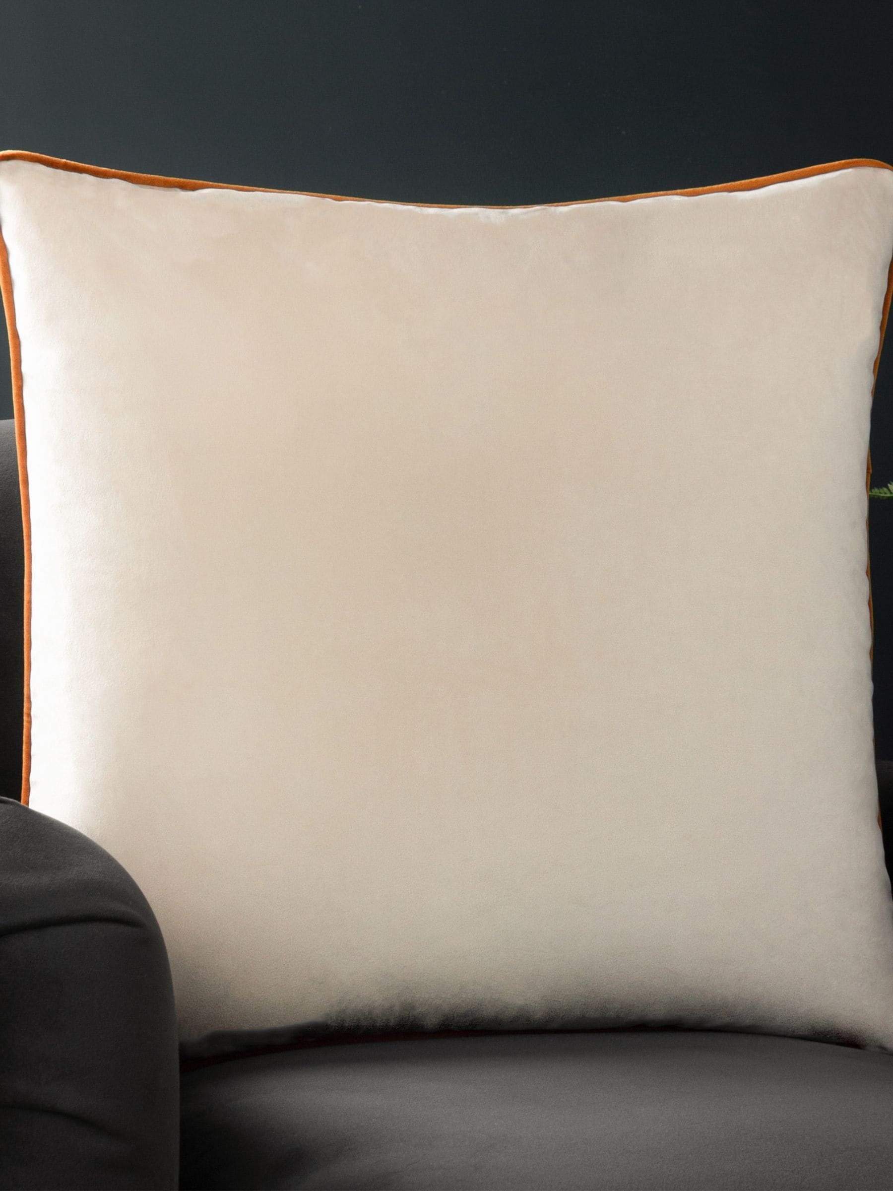 Buy Riva Paoletti Natural Meridian Contrast Piped Velvet Cushion from Next USA