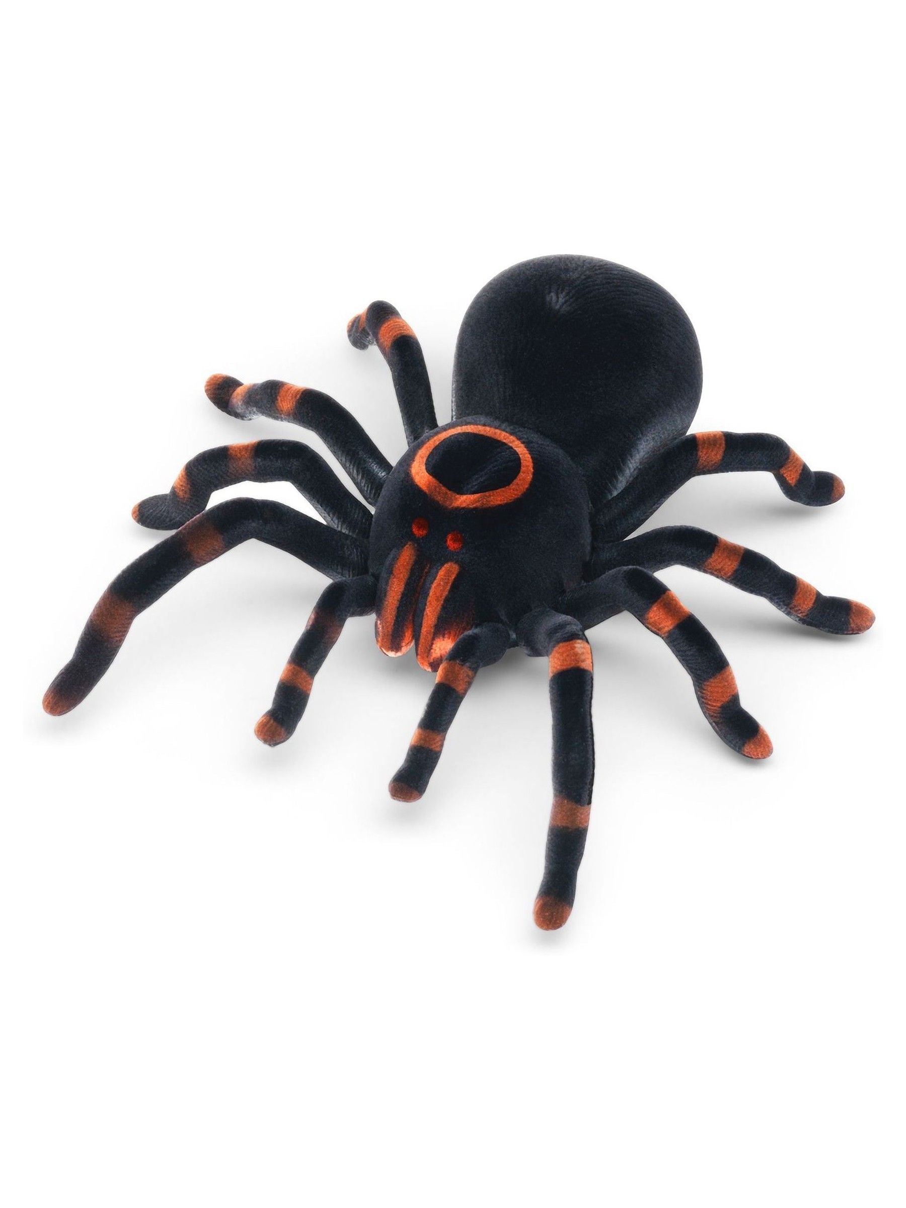Buy MenKind RC Tarantula from the Next UK online shop