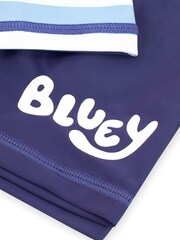 Character Blue Bluey Blue Stripe Swimsuit - Image 5 of 5