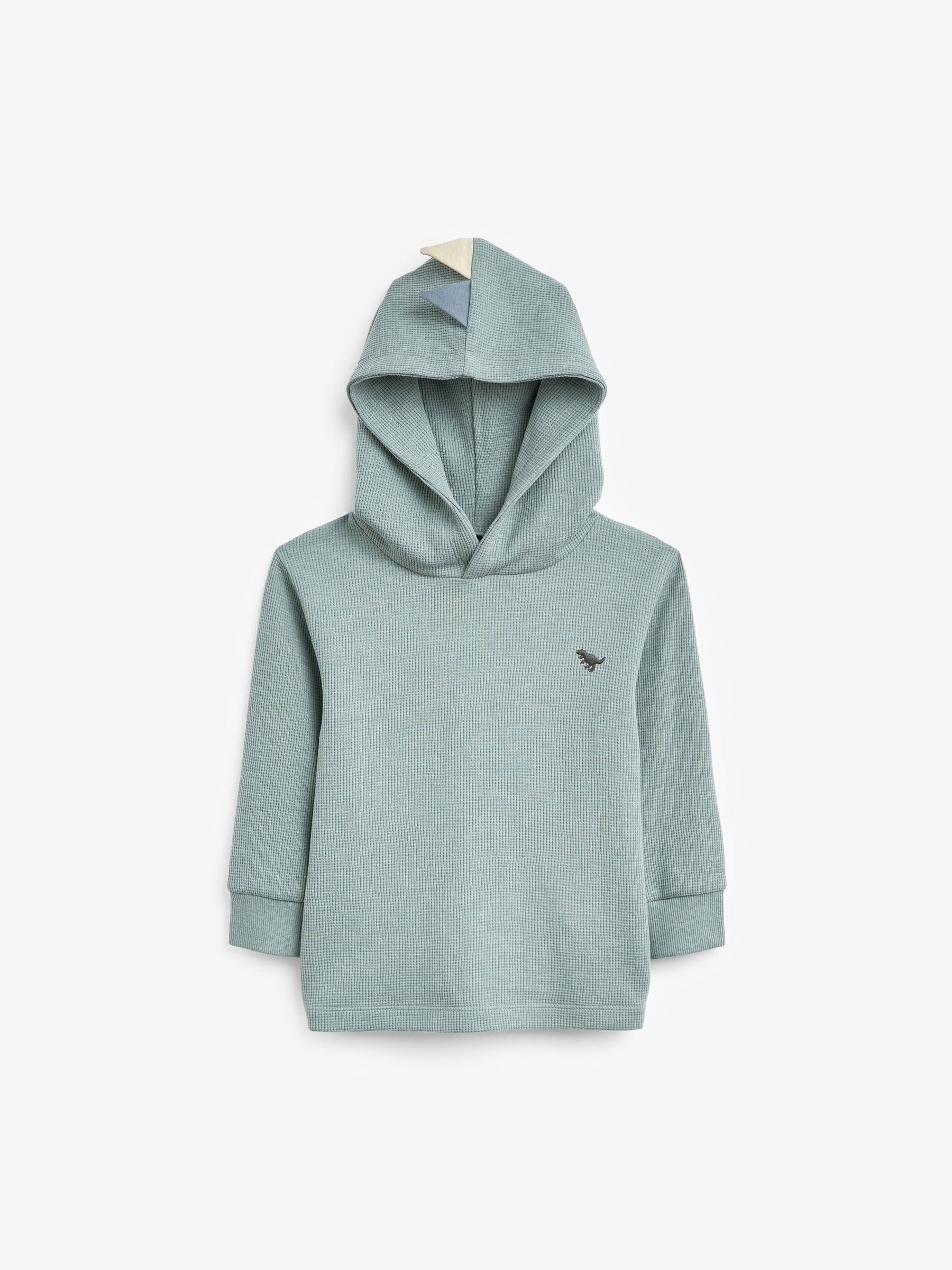 Next dinosaur hoodie shop