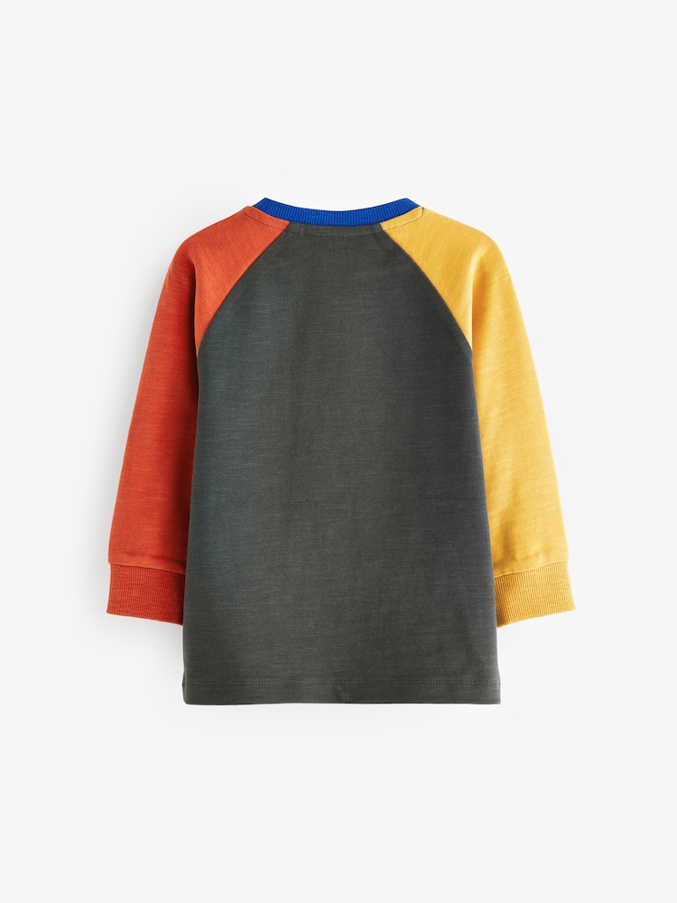 Oglja siva/rumena/rdeča - Cosy z izrazitim barvnim vzorcem 100% Bombaž dolg rokav; srajca z dolgimi rokavi (3mesecev-7yrs) - Slika 2 iz 3