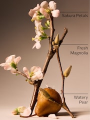 Bath & Body Works Forever Cherry Blossom Eau De Parfum 50ml - Image 4 of 4