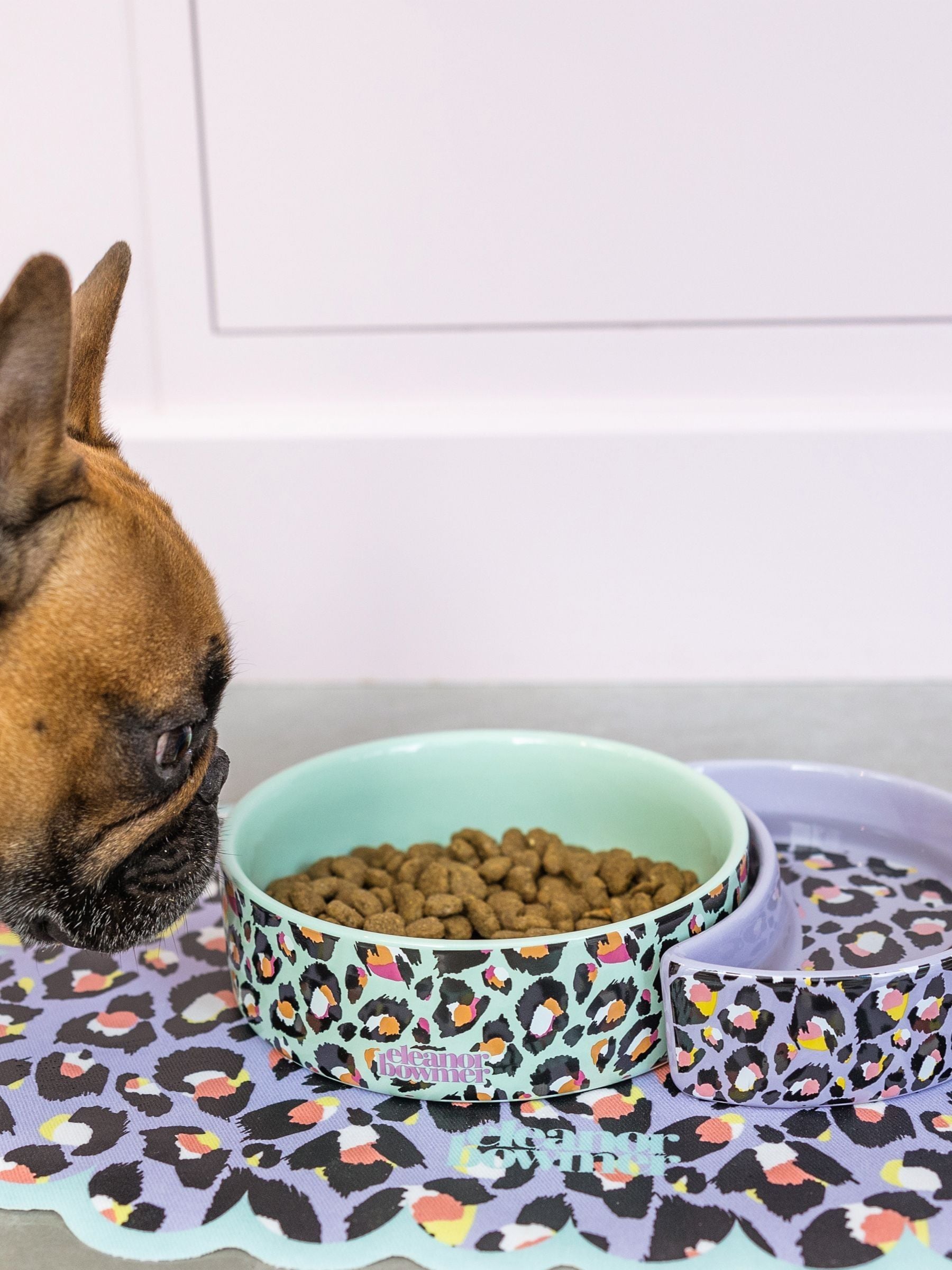 Buy Eleanor Bowmer Leopard Pet Bowl Set from the Next UK online shop