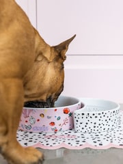 Eleanor Bowmer Shell Pet Bowl Set - Image 1 of 4