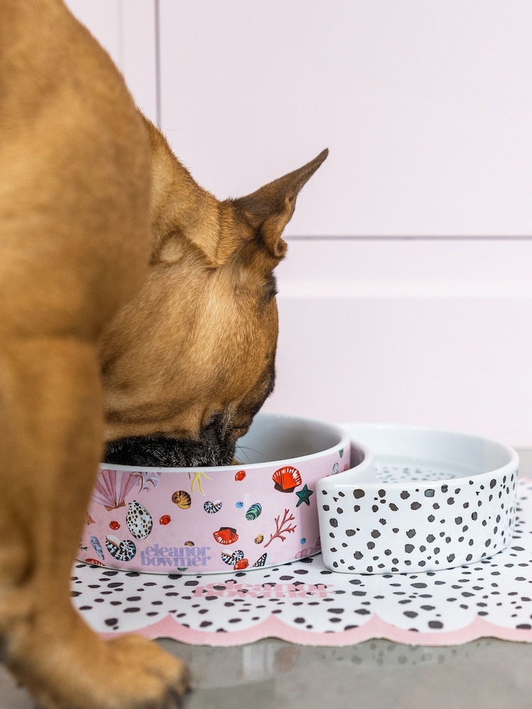 Eleanor Bowmer Shell Pet Bowl Set - Image 1 of 4