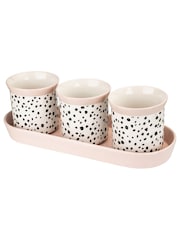 Eleanor Bowmer Set of 3 Dalmatian Herb Pots - Image 3 of 4
