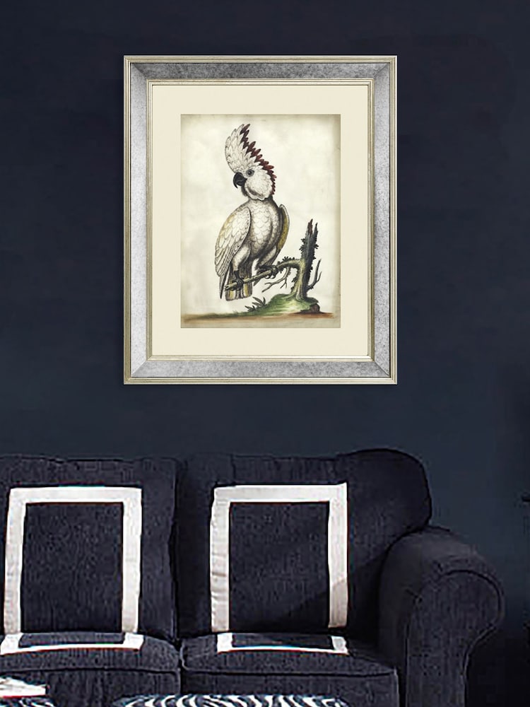 Brookpace Lascelles Cream White Cockatoo III Print in Antique Mirrored Frame - Image 1 of 3