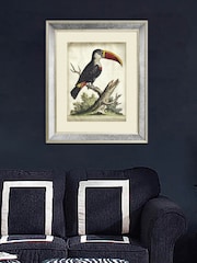 Brookpace Lascelles Cream Toucan Print in Antique Mirrored Frame - Image 1 of 3