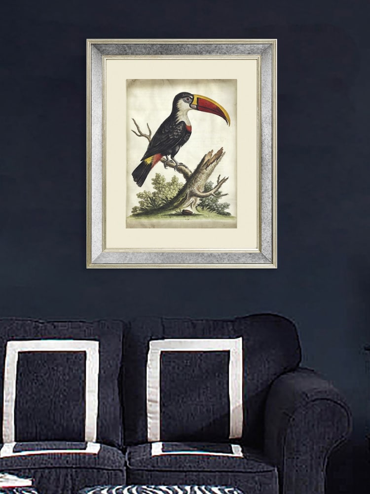 Brookpace Lascelles Cream Toucan Print in Antique Mirrored Frame - Image 1 of 3