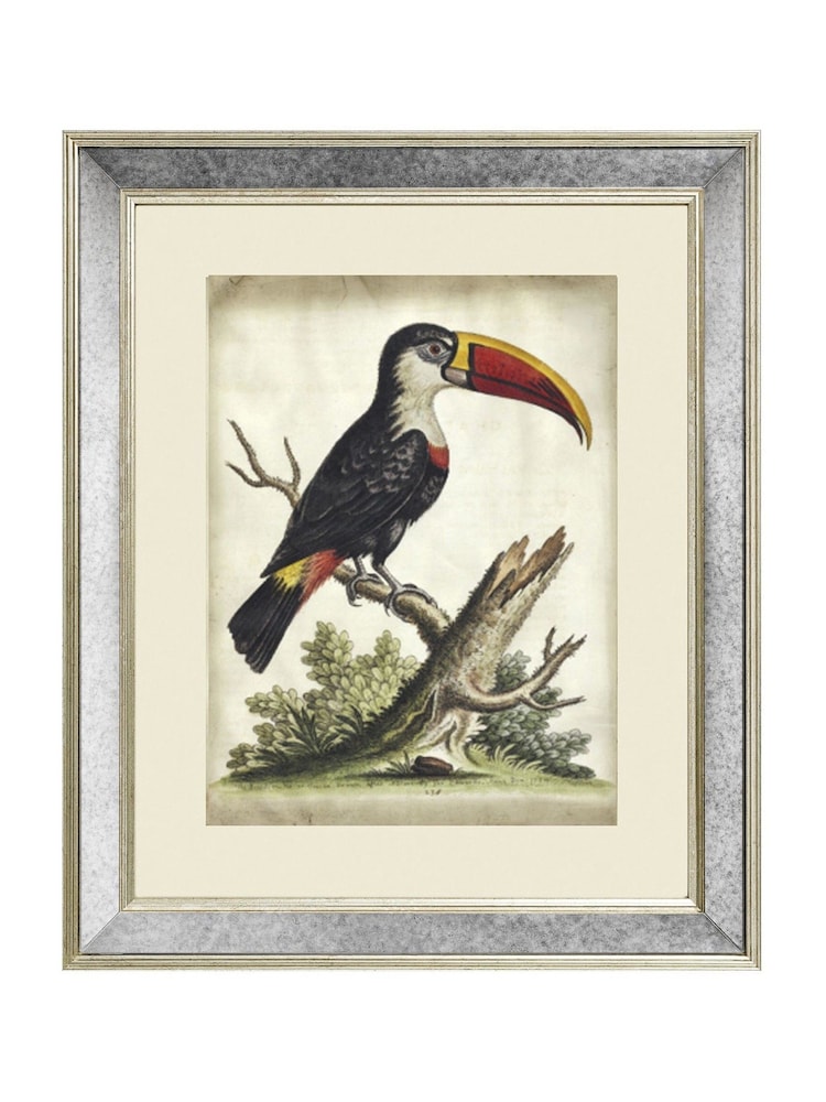 Brookpace Lascelles Cream Toucan Print in Antique Mirrored Frame - Image 2 of 3