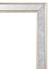 Brookpace Lascelles Cream Toucan Print in Antique Mirrored Frame - Image 3 of 3