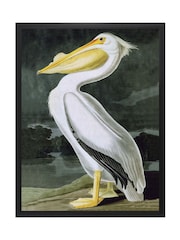 Brookpace Lascelles White Pelican Framed Wall Art - Image 2 of 3