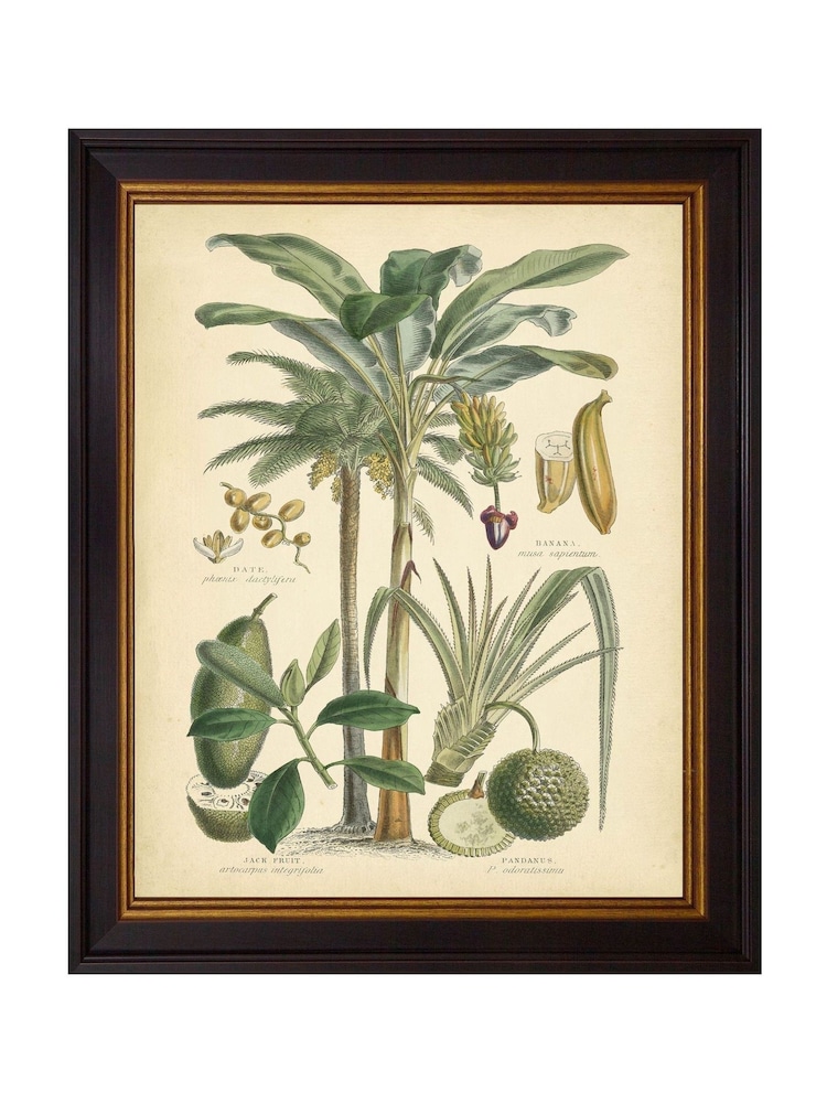 Brookpace Lascelles Black Fruitful Palm II Framed Wall Art - Image 2 of 3