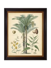 Brookpace Lascelles Black Fruitful Palm I Framed Wall Art - Image 2 of 3