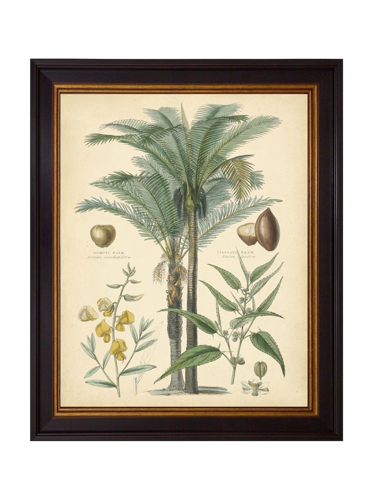 Brookpace Lascelles Black Fruitful Palm I Framed Wall Art - Image 2 of 3