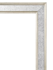 Brookpace Lascelles Pink Flamingo I Print in Antique Mirrored Frame - Image 3 of 3